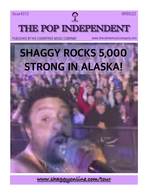 The Pop Independent, Issue 312